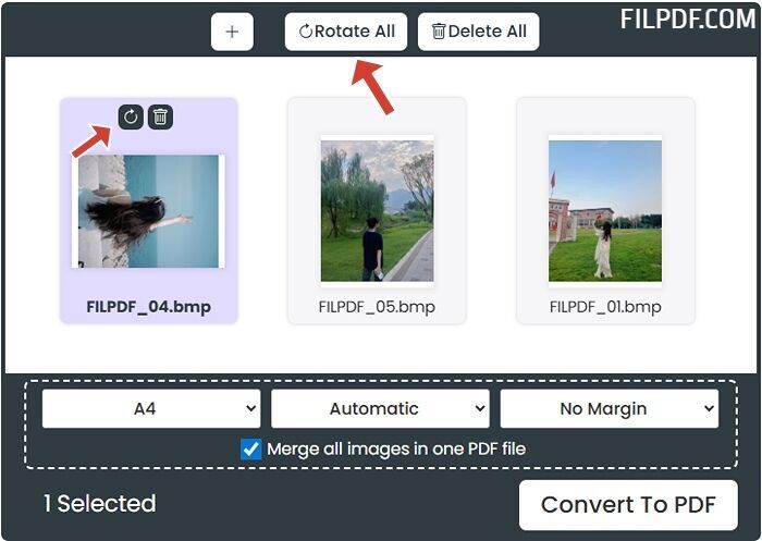 Preview and arrange your BMP images before converting to PDF
