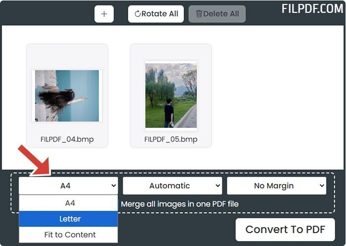 Configure page settings and choose to combine or separate BMP to PDF conversion