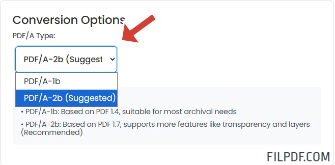 Select PDF/A format type for conversion